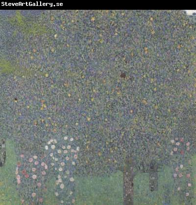 Gustav Klimt Rose Bushes Under the Trees (mk20)